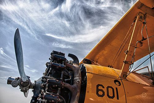 Aero maquina groot geel, Nathan Larson