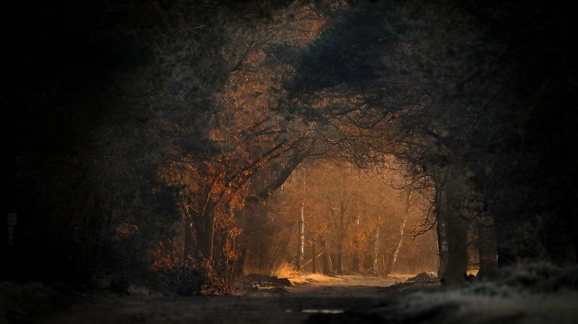 Vue d'hiver par Jolanda Stam