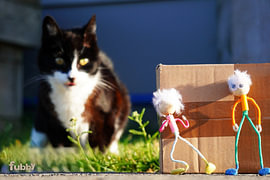Die Fubby's spielen Verstecken mit Kat Ping. von Sailographic Paula