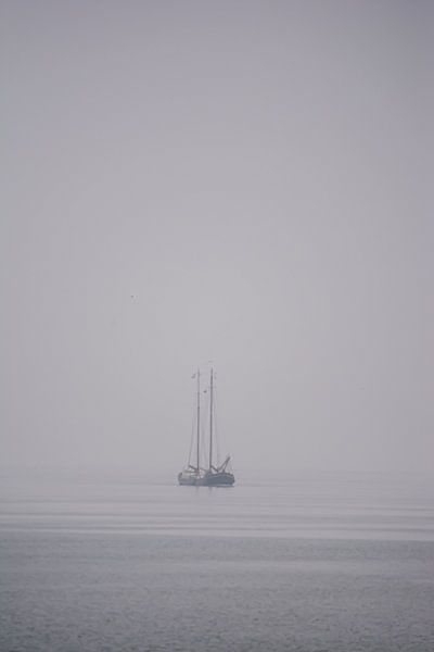 Standing Fog by Lieke Oppelaar
