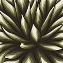 Oase - Cactus donker groen van Studio Hinte thumbnail