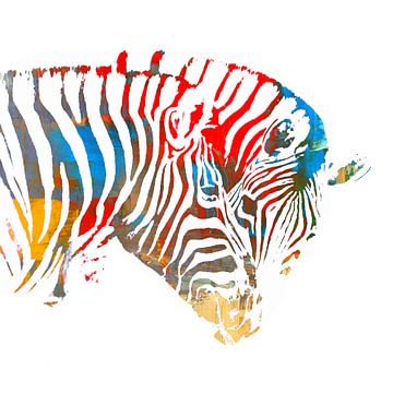 Illustratie met twee zebra's close-up van Werner Lehmann