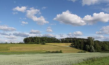 Sommerlandschaft