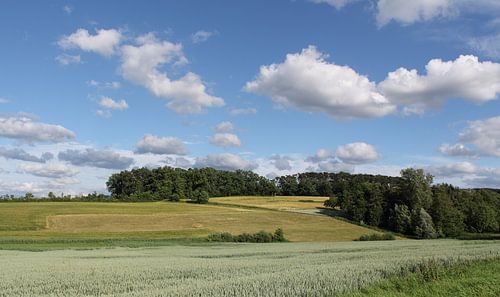 Sommerlandschaft