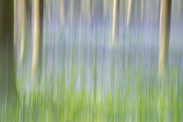 Blue forest by Christl Deckx