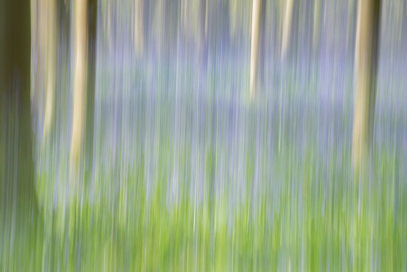 Blue forest van Christl Deckx