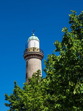 Gezicht op de vuurtoren met boom in Warnemünde