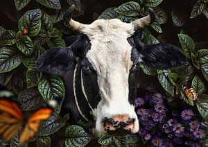Eine Kuh schaut durch das Gebüsch von Bert Hooijer