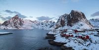 Rorbu - Hamnoya Norwegen von Babs Boelens Miniaturansicht