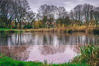 Schollebos park , Capelle aan den ijssel