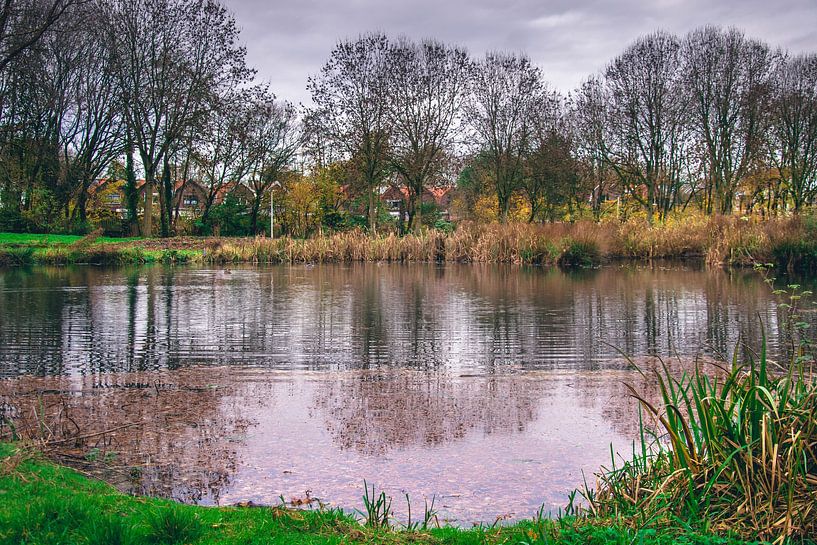 Schollebos park , Capelle aan den ijssel by Pix-Art By Naomi.k