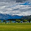 Kricket in Wanaka | Neuseeland von RB-Photography