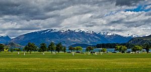 Kricket in Wanaka | Neuseeland