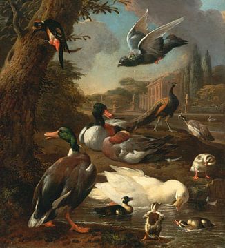Een pauw, duif, eenden en andere vogels in een tuinsetting, Melchior d'Hondecoeter