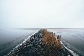 Wellenbrecher im Nebel! von Peter Haastrecht, van