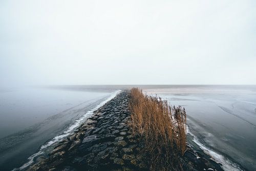 Golfbreker in de mist!