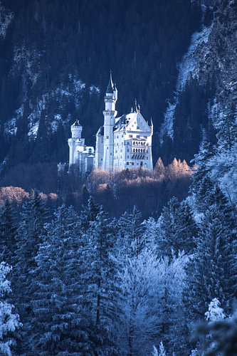 Schloss Neuschwanstein im Winter