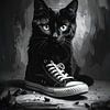 De kleine zwarte kat met de sportschoenen , Het kleine zwarte katje en de sportschoen van Christina Bauer Photos