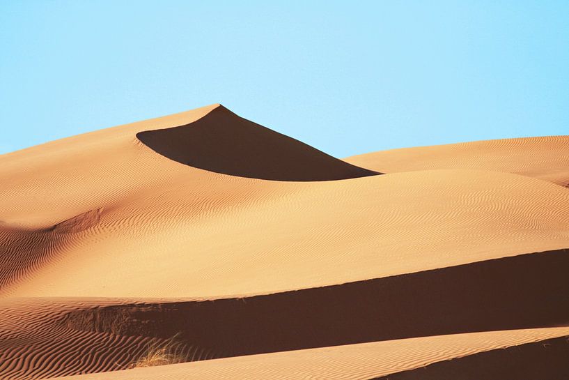 Sahara by Walljar
