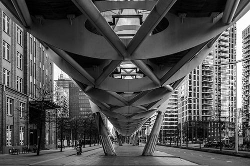 Beatrix Quarter The Hague