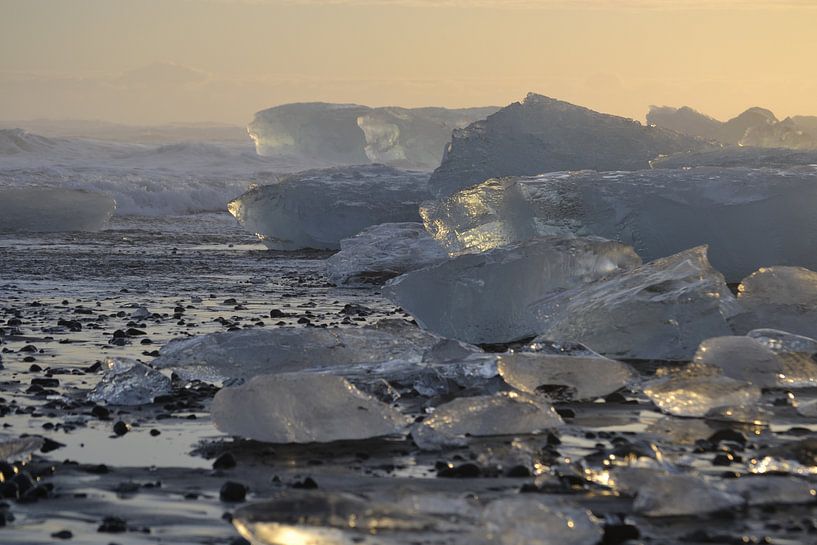 Ice Shark Beach von Art Kleisen