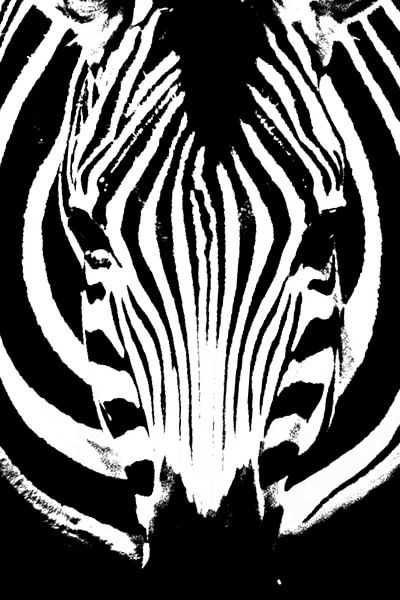 Identiteit - een abstract portret van een zebra van Sharing Wildlife
