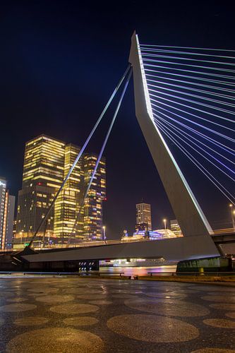 Le pont Erasmus dans la lumière