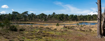 Panorama natuurlandschap Looierheide in Ottersum Nederland