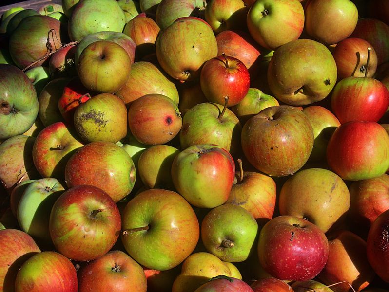 Gevallen fruitdoos van Edgar Schermaul