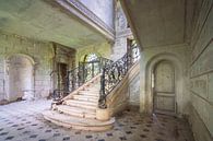 De vervallen trap van chateau des Singes van Frans Nijland thumbnail