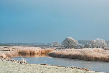 Winterlandschaft im Flussdelta der IJssel bei Kampen von Sjoerd van der Wal Fotografie