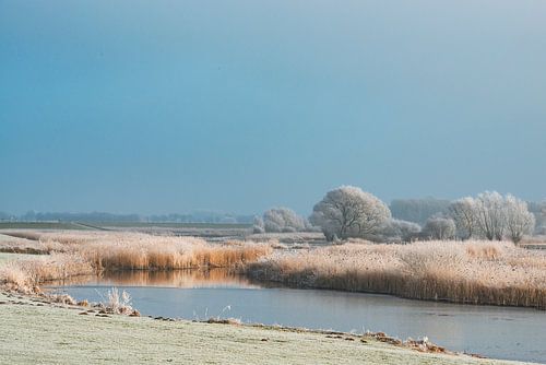 Paysage hivernal dans le delta de la rivière IJssel près de Kampen