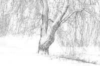 Besneeuwd