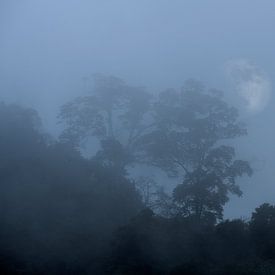 Foggy landscape with rising moon by Anouschka Hendriks