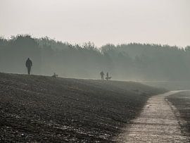 Brouillard sur la digue de la mer du Nord sur Animaflora PicsStock