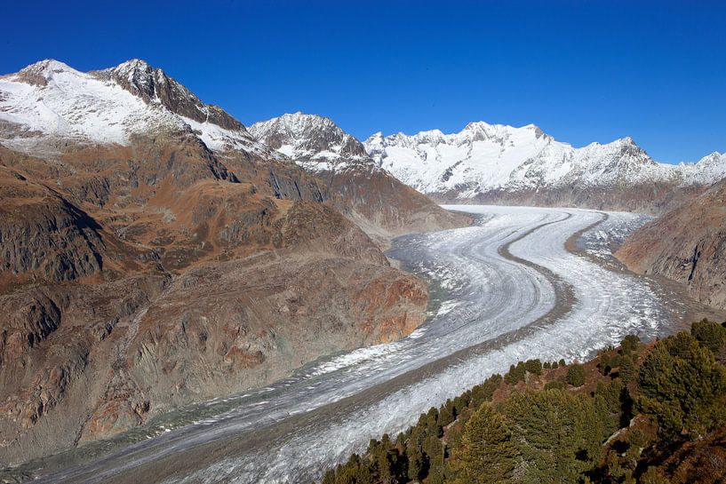 Le grand glacier d'Aletsch par Menno Boermans