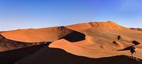 The dunes of Sossusvlei in Namibia