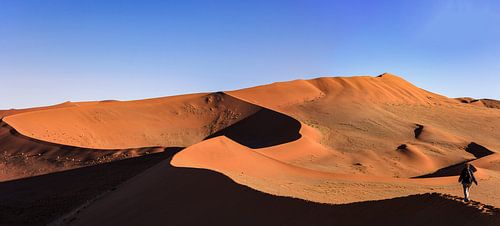 The dunes of Sossusvlei in Namibia