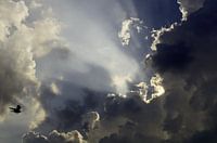 Vlieg naar de zon