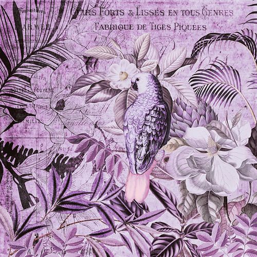 Parrot Vintage Art by Andrea Haase