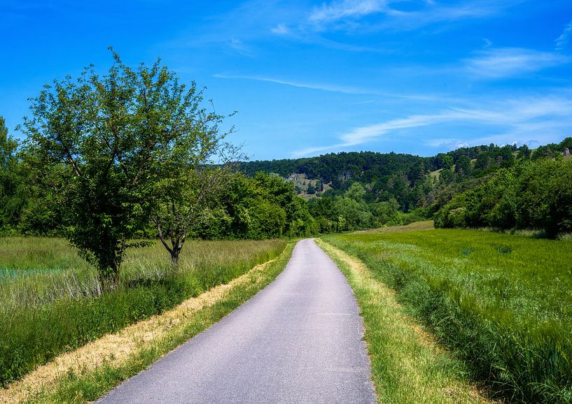 Cycle path in the idyllic Altühltal valley by ManfredFotos
