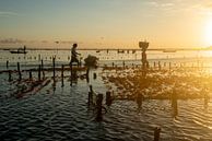 Zeewier boeren in Nusa Lembongan met zonsondergang van Ellis Peeters thumbnail