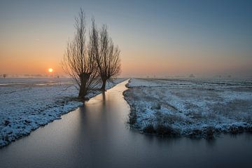 Knotwilgen bij een winterse zonsopkomst van Raoul Baart