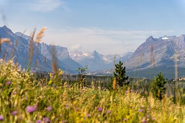 Glacier National Park, Montana, USA, St. Mary overlook by Jeroen van Deel