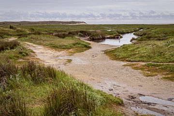 Nature reserve the  Slufter on Texel by Rob Boon