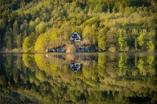 Reflet du lac de Bohinj