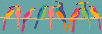 Tropical birds by Uwe Merkel
