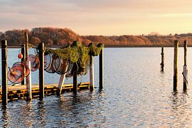 SCHLESWIG Schlei - no fishing