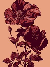 Red Poppy by Jansje Kamphuis