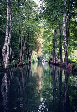 Reflet de l'eau